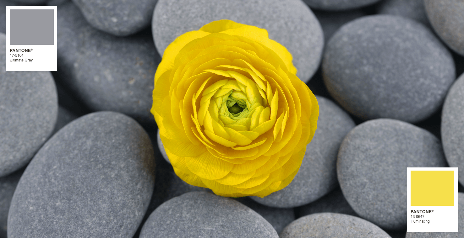 دلیل انتخاب رنگ سال 2021