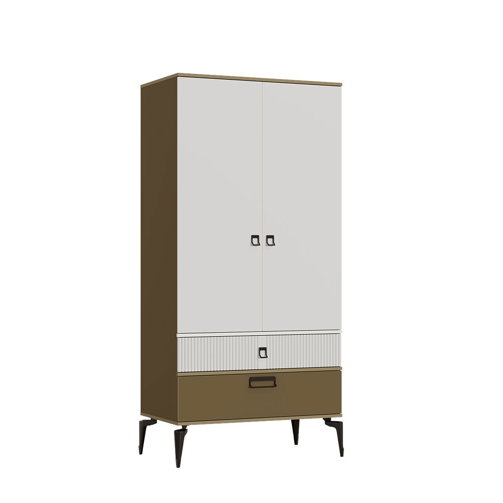 جدیدترین کمد لباس دو درب بازار با طراحی خاص